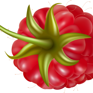 Rraspberry PNG image