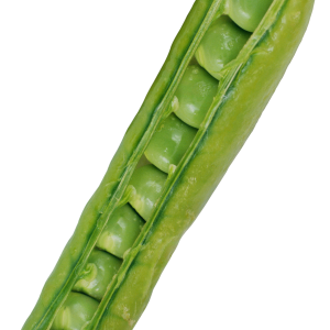 Pea PNG