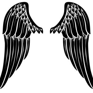 Wings PNG