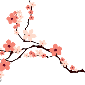 Sakura PNG