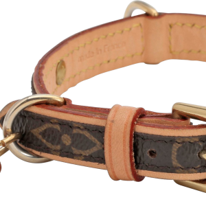 Dog collar PNG