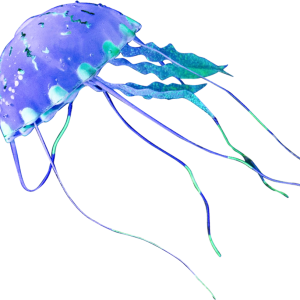 Jellyfish PNG