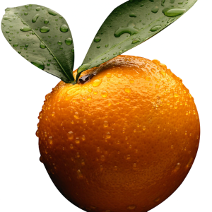 Orange photo PNG image