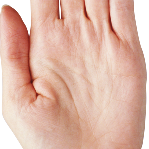 hand PNG