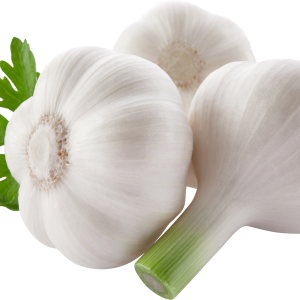 Garlic PNG