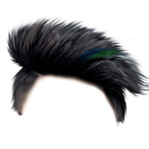 Hair wig PNG
