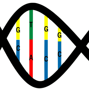DNA PNG