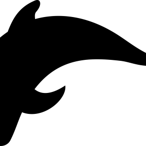 Dolphin PNG