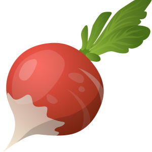Beet PNG