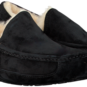 UGG boots PNG