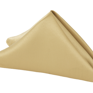 Napkin PNG