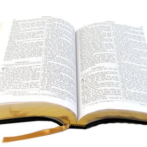 open bible PNG