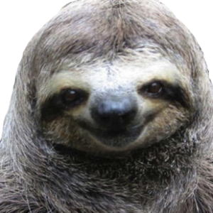Sloth PNG
