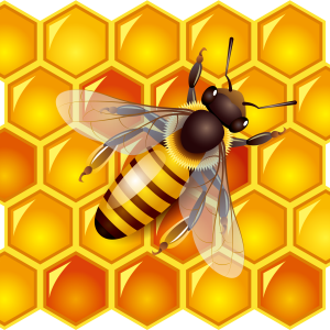 Honey PNG