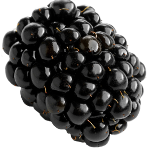 Blackberry PNG
