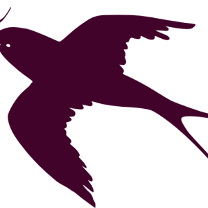 Swallow PNG