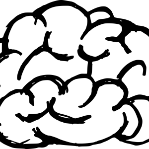 Brain PNG