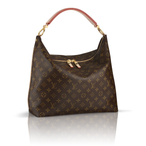 Louis Vuitton Women bag PNG image