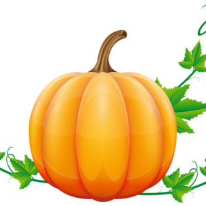 Pumpkin PNG
