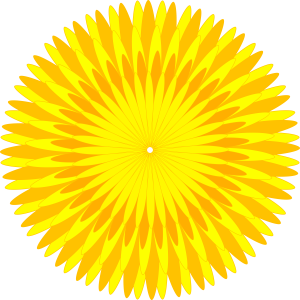 Dandelion PNG