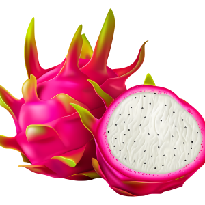 pitaya PNG image