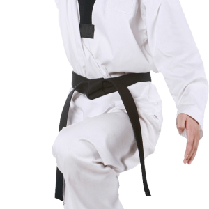 Taekwondo PNG