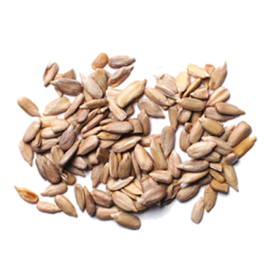 Sunflower seeds PNG