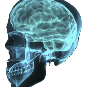 X-rays PNG
