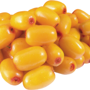 Sea buckthorn PNG
