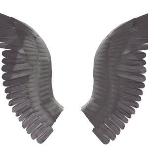 Wings PNG