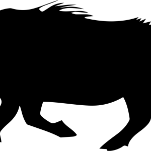 Boar PNG