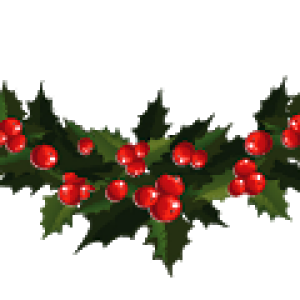 Christmas garland PNG
