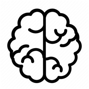 Brain PNG