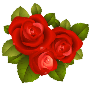 Rose PNG
