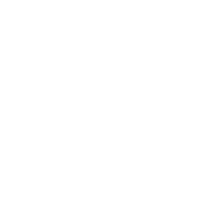 Feather PNG