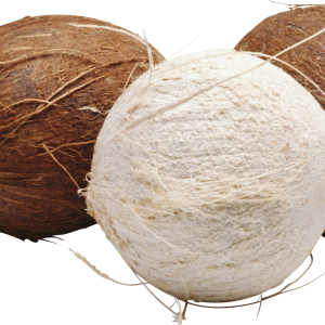 Coconut PNG image
