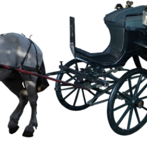 Carriage PNG