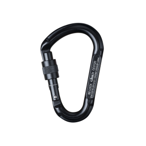 Carabiner PNG