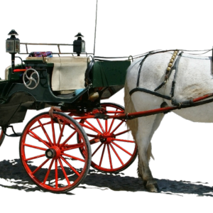 Carriage PNG