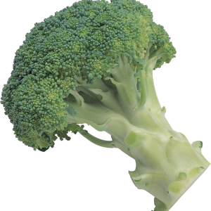 Broccoli PNG