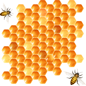 Honey PNG