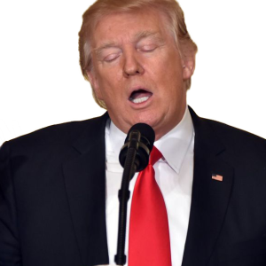 Donald Trump PNG