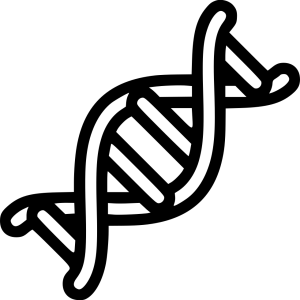 DNA PNG
