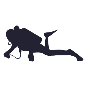 Diver PNG
