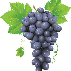 Grape PNG image