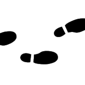 Footprints PNG