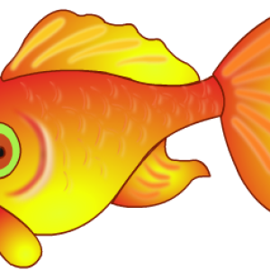 Goldfish PNG