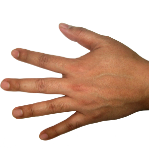 Hands PNG, hand image free
