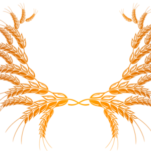 Wheat PNG