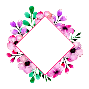 Floral frame PNG